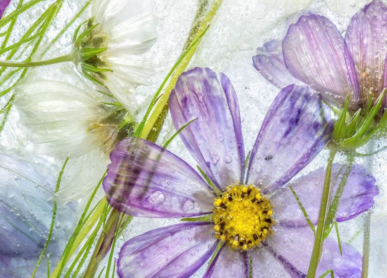 Bevroren bloemen online puzzel