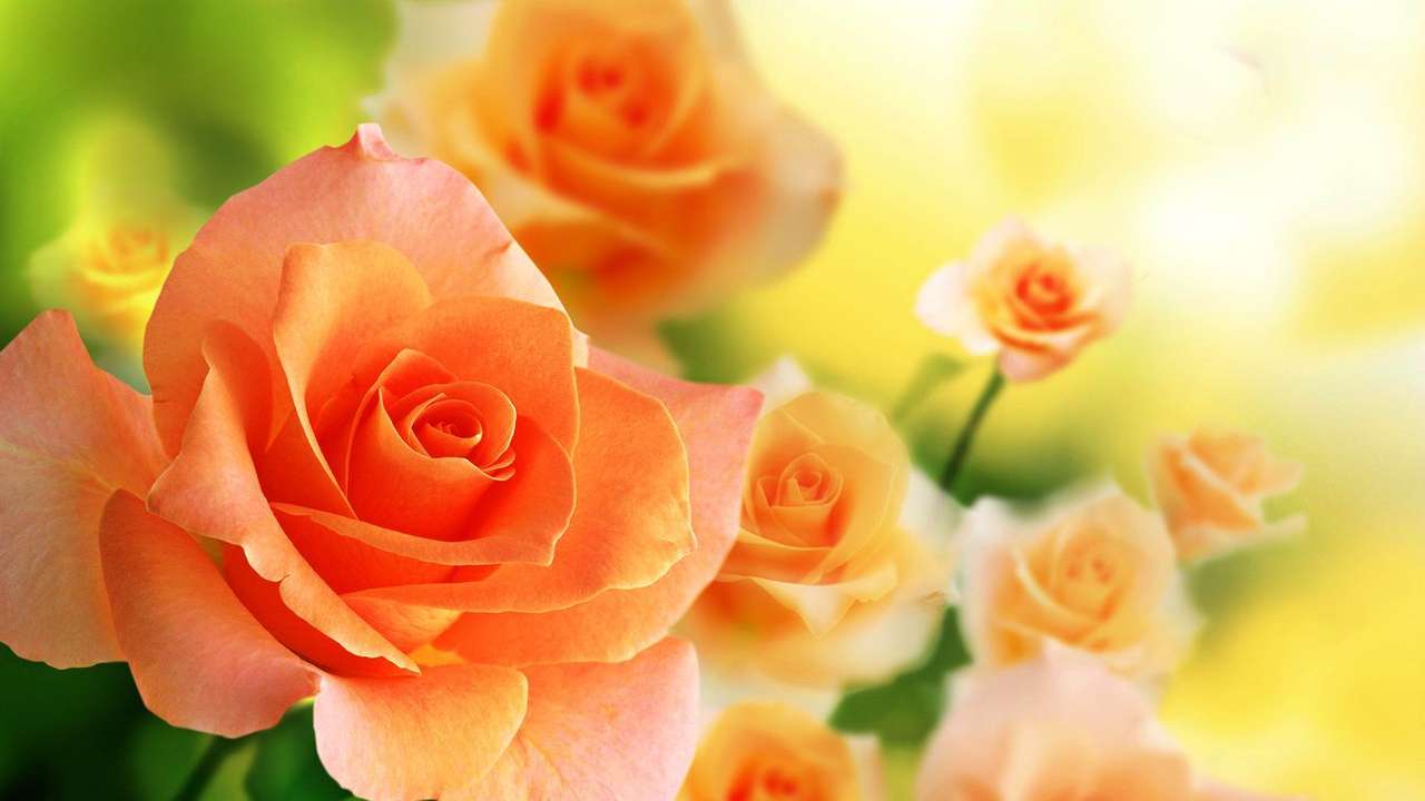 Roses legpuzzel online