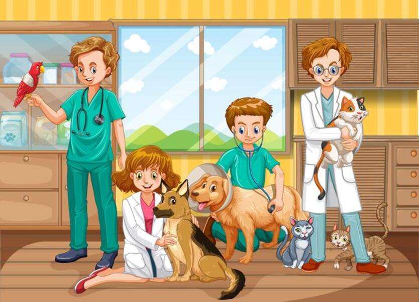 Mai mulți medici veterinari cu animale de companie puzzle online