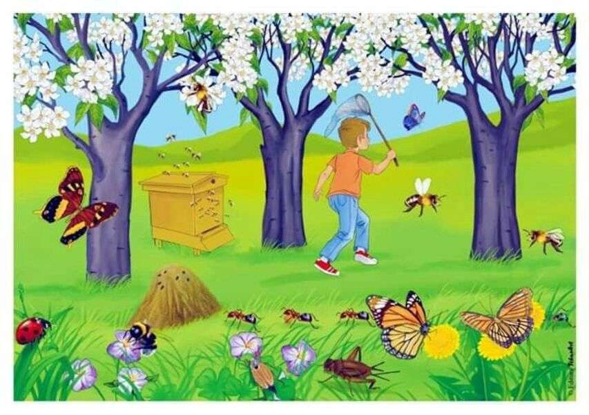Момче на поляната преследва пеперуди онлайн пъзел