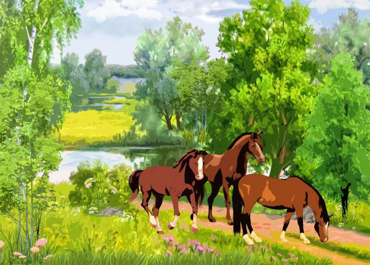Cavalli domestici puzzle online