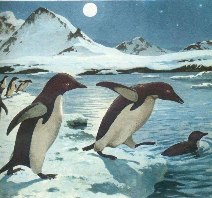 "Pinguinii jucausi" jigsaw puzzle online