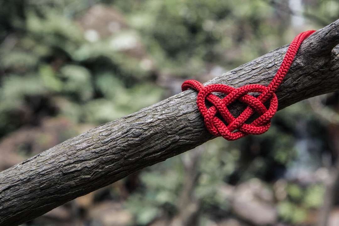 corde rouge sur trois branches puzzle en ligne