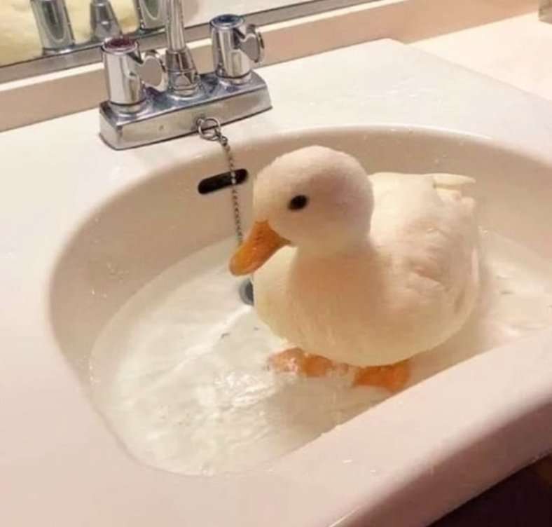 Ducky мивка онлайн пъзел