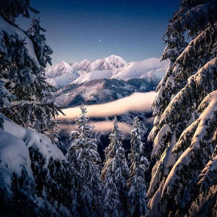 Vintern i bergen. pussel på nätet