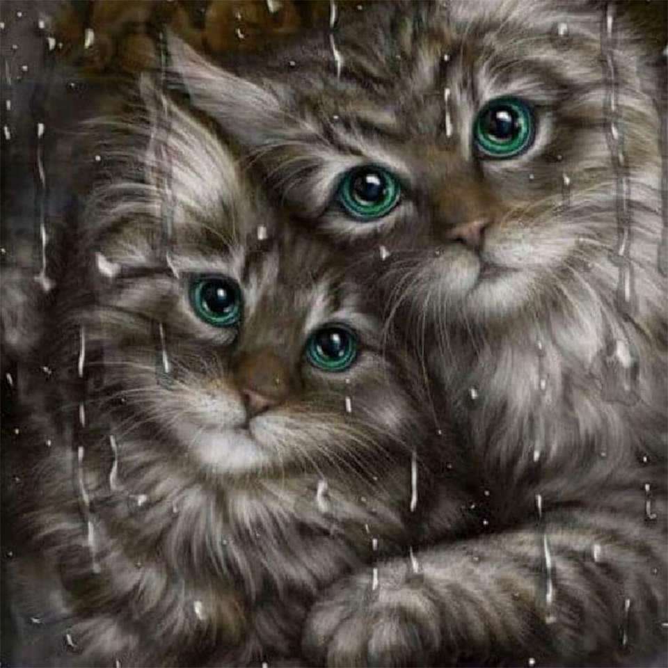 Två kattungar pussel på nätet