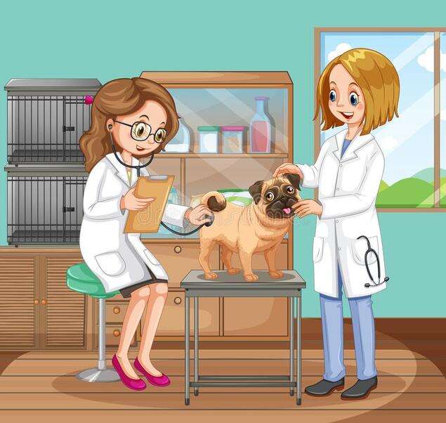 Két orvos ellenőrzi a kiskutyát - Állatorvos #1 online puzzle
