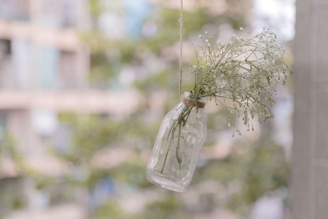 фотография с плитък фокус на зеленолистно растение в бутилка онлайн пъзел