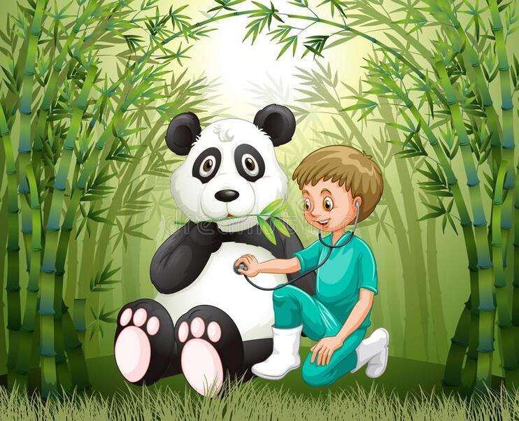Doctor veterinario revisando osito panda rompecabezas en línea