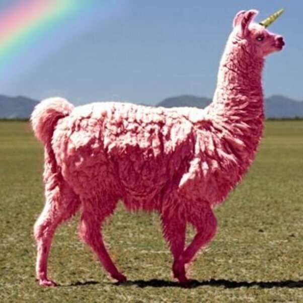 Vackert rosa lama poserar #3 pussel på nätet