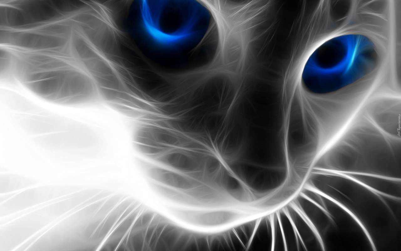 Котка със сини очи онлайн пъзел