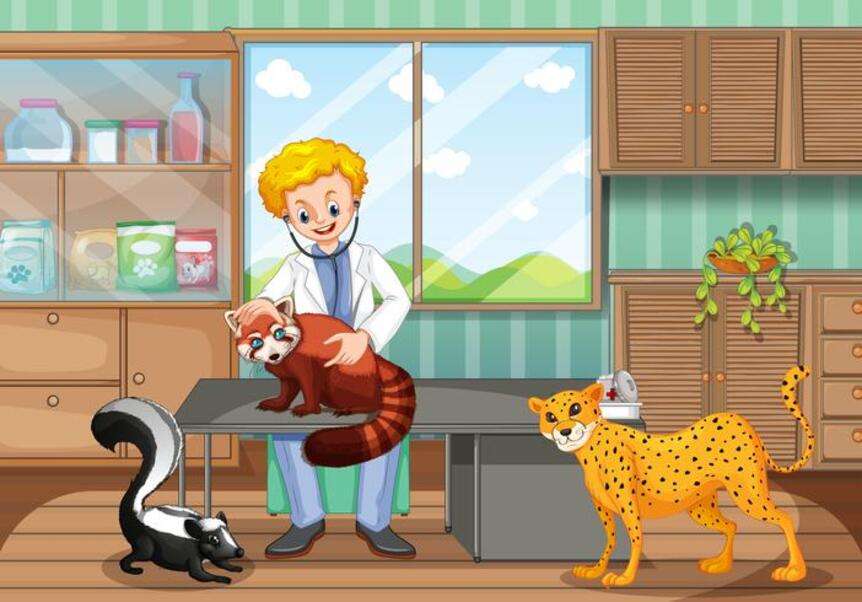 Tierarzt überprüft ein kleines Tier Puzzlespiel online