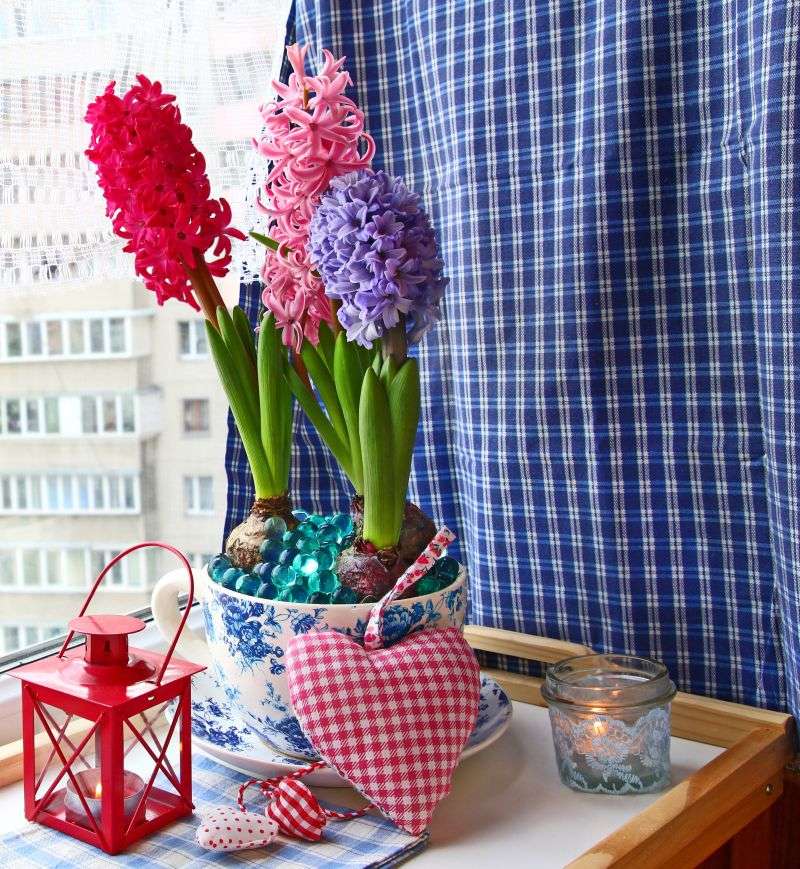 Barevné hyacinty v šálku skládačky online