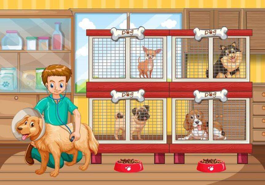 Medico veterinario che controlla cucciolo n. 6 puzzle online