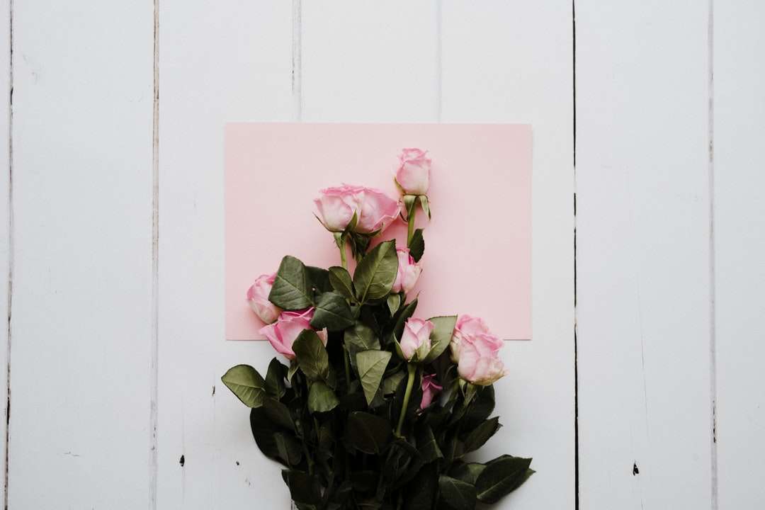 flor rosa en maceta negra rompecabezas en línea