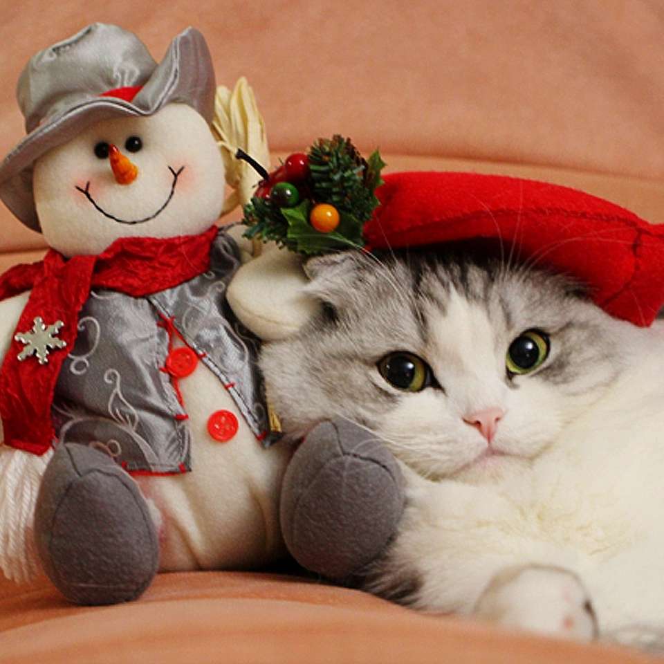 Kätzchen mit einem Schneemann Puzzlespiel online