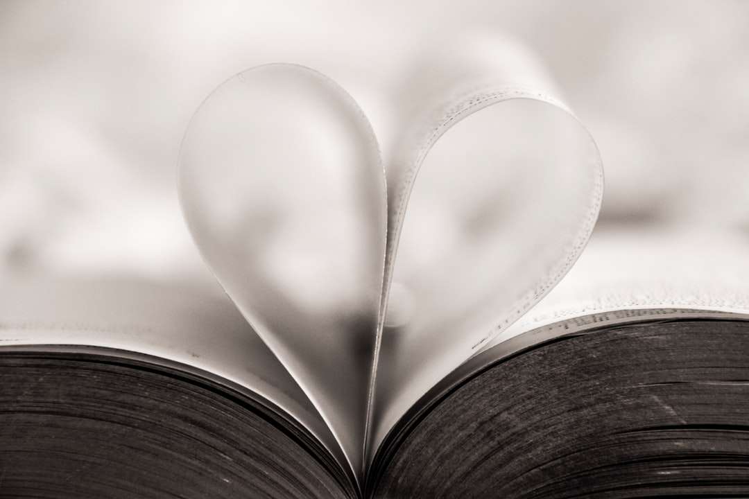 σχήμα καρδιάς βιβλίο σελίδα γκρο πλαν φωτογραφία παζλ online