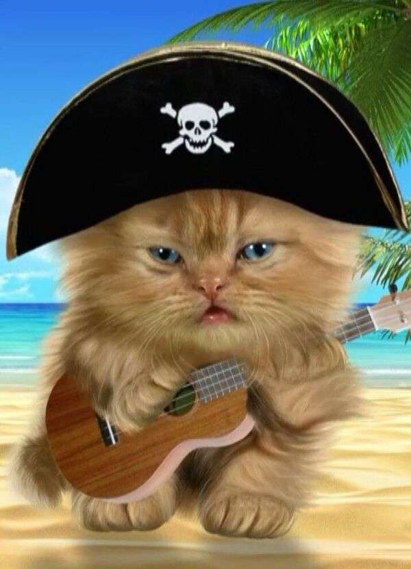 Коте с китара и ядосано лице онлайн пъзел
