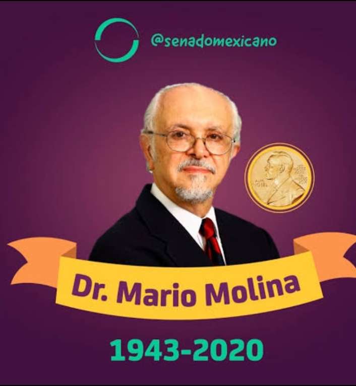 MARIO MOLINA pussel på nätet