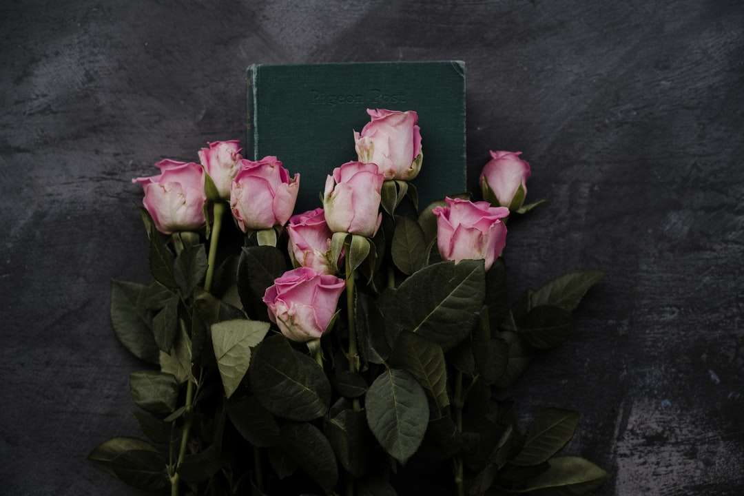 rosas cor de rosa em tecido preto quebra-cabeças online