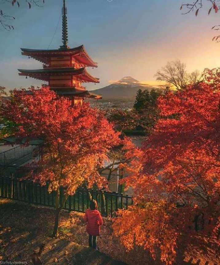 日本の秋。 ジグソーパズルオンライン