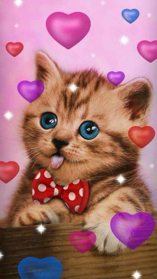 Elegant kattunge med fluga pussel på nätet