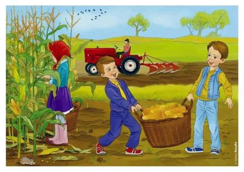 Kukoricát gyűjtő gyerekek kirakós online