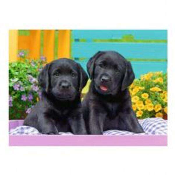 Black puppies posing #1 online puzzle