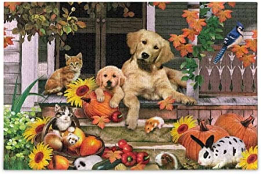 Gatinhos e cachorrinhos posam para foto puzzle online