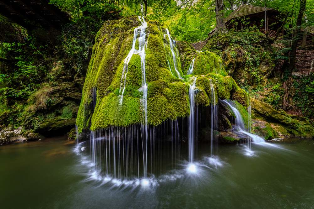 Cachoeira na floresta puzzle online