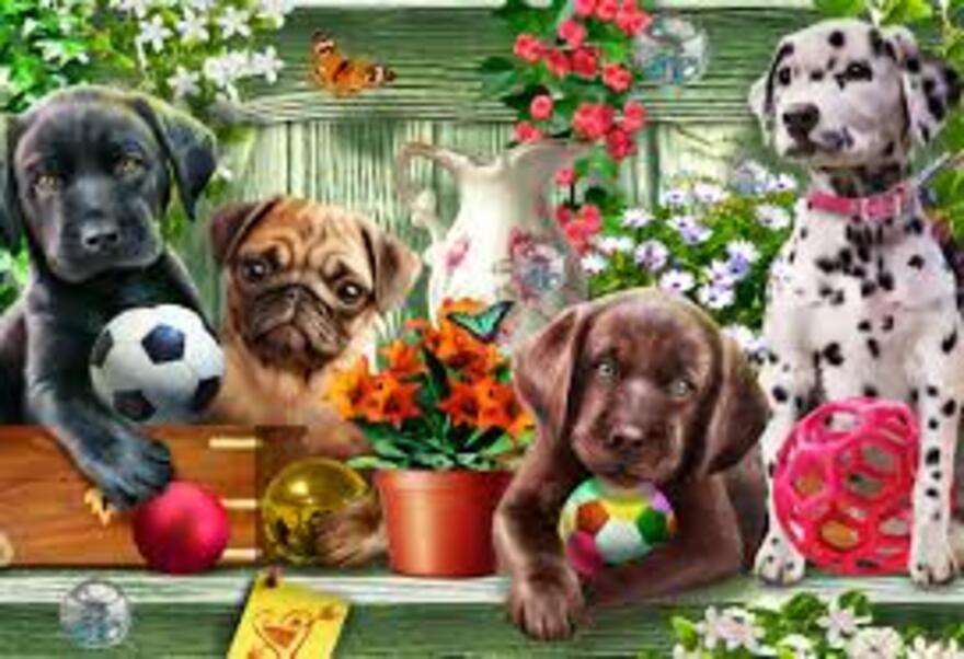 Cachorrinhos com bolas posam para foto puzzle online
