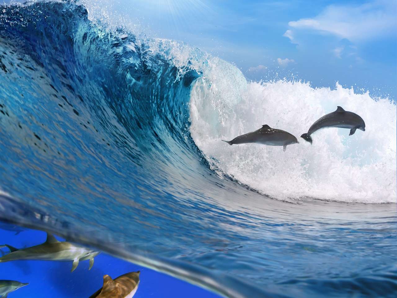 Sea-waves-dolphin online puzzel