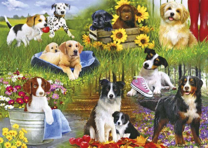 Filhotes de cachorro no quintal da casa puzzle online