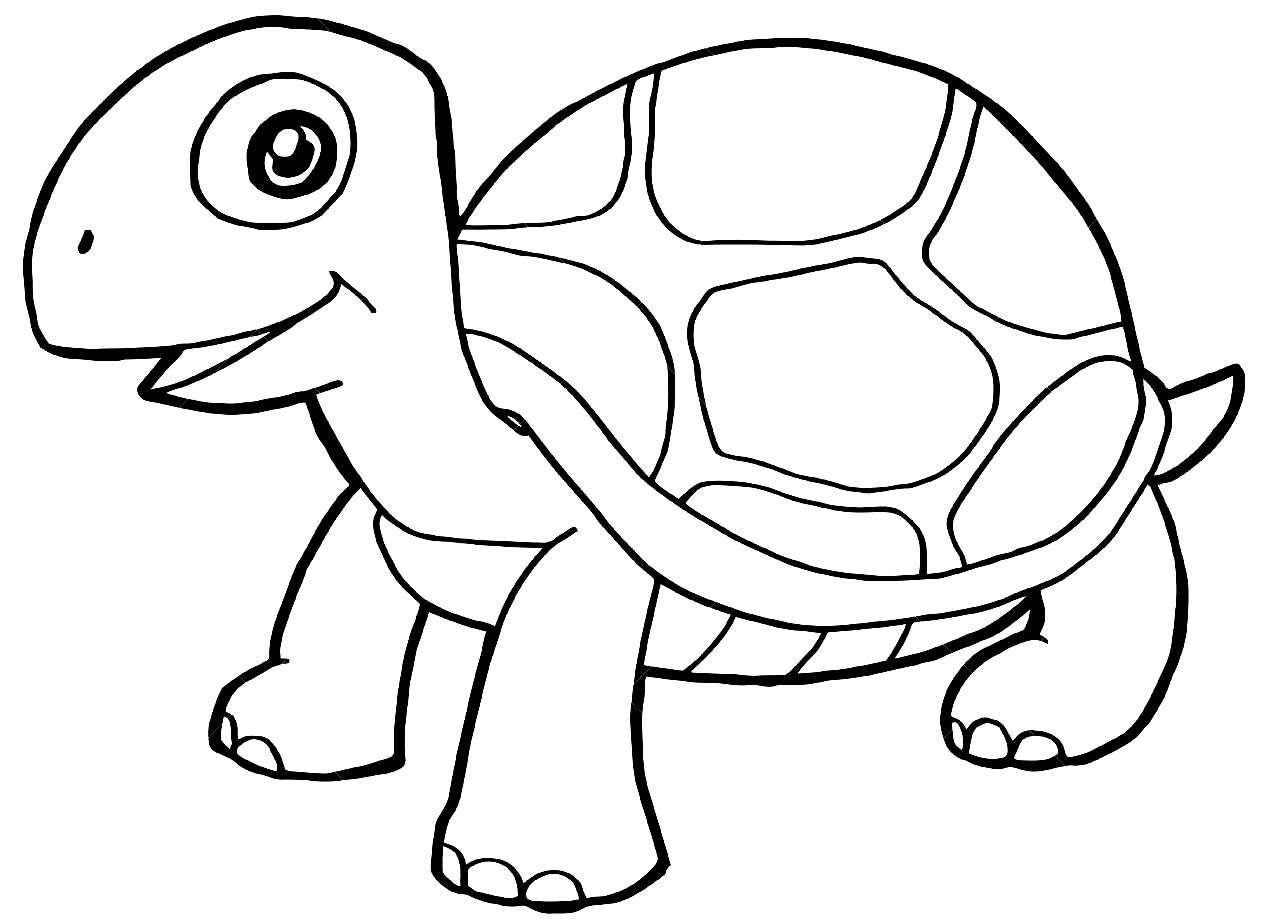 tartaruga puzzle online