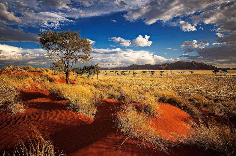 Namibia Africa puzzle online