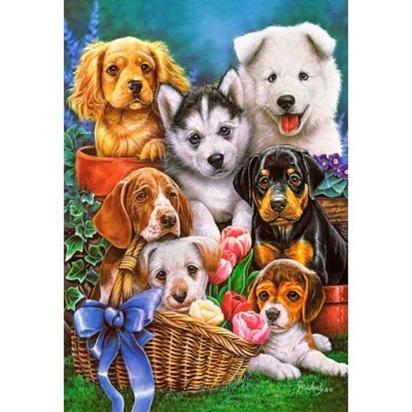 Sette preziosi cuccioli posano per una foto puzzle online