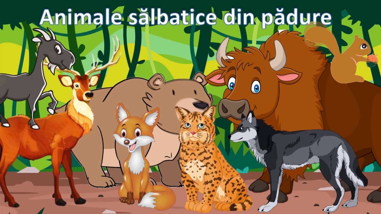 Animais selvagens quebra-cabeças online