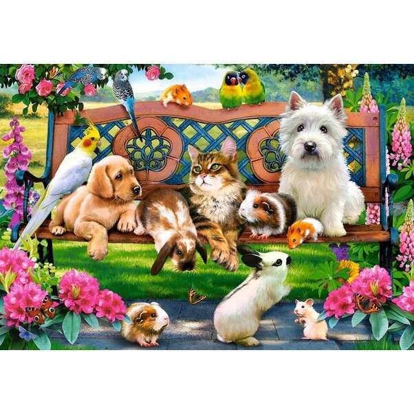 Dogs and friends sitting on garden bench jigsaw puzzle online