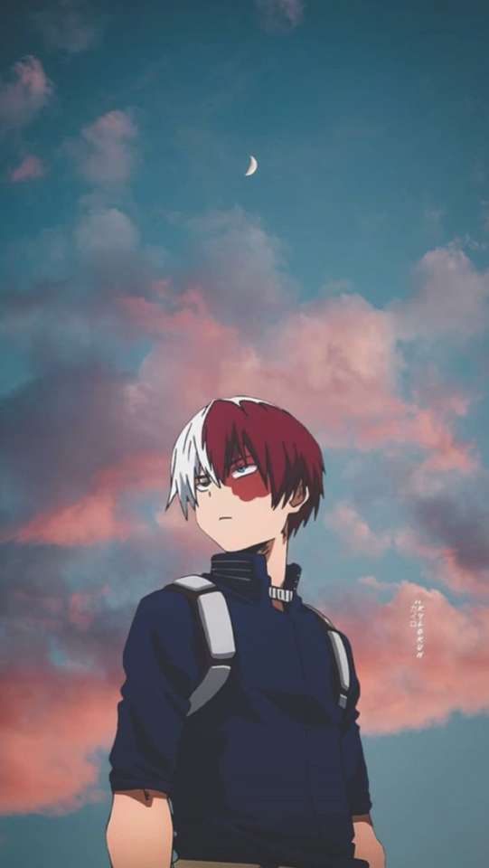 ~ Todoroki ~ legpuzzel online