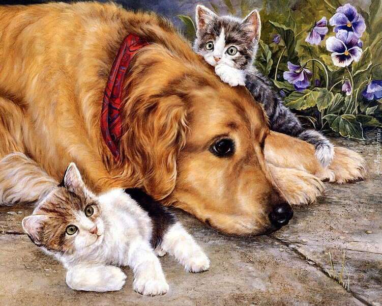 Due gattini accanto al grosso cane puzzle online