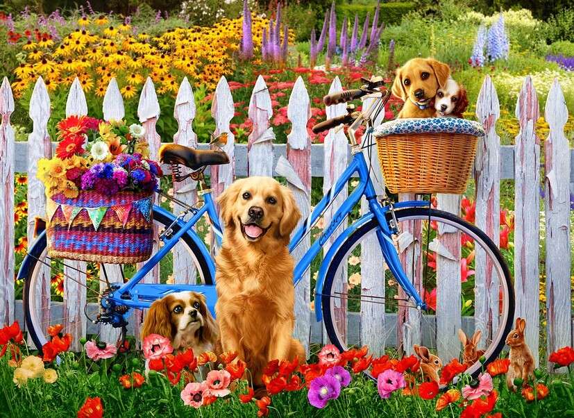 Kutyák kerékpár mellett virágokkal #2 kirakós online