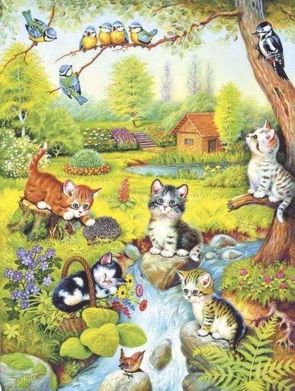 Vijf kittens bij de rivier online puzzel