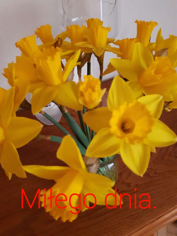 spring daffodils online puzzle