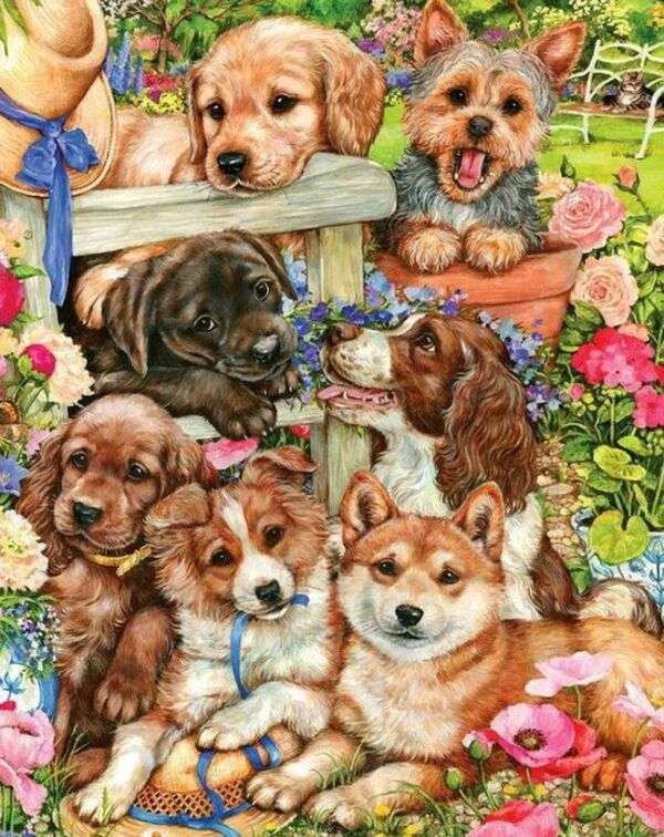 Sette cuccioli in giardino puzzle