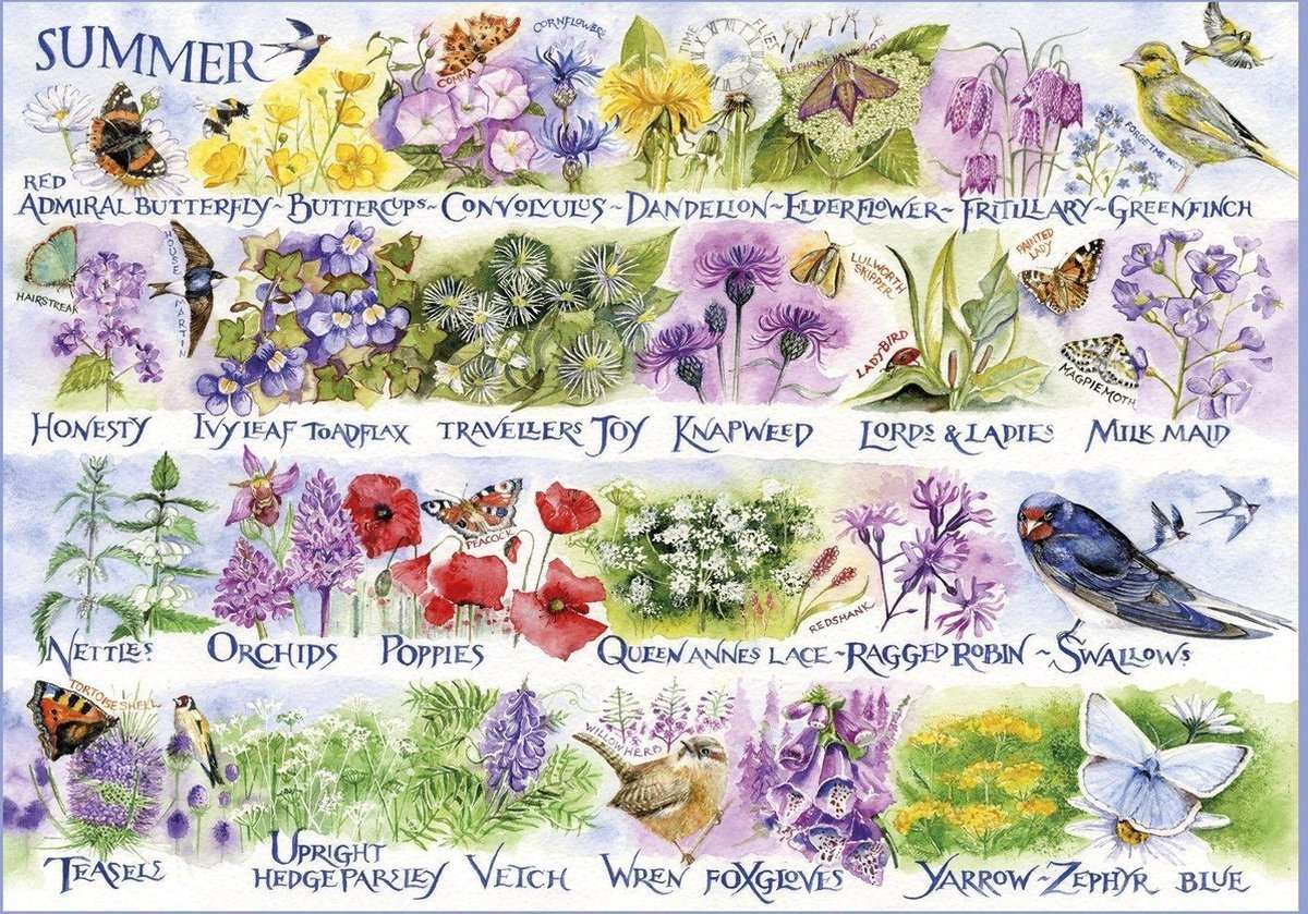 Symphony of Summer - Flowers and Birds jigsaw puzzle online