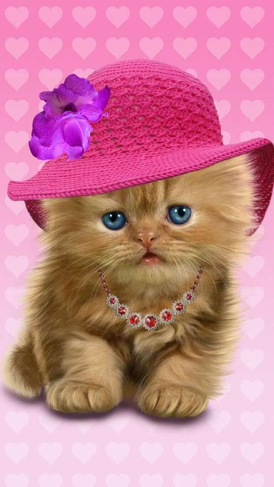 Кошеня з капелюхом кольору фуксії та ланцюжком онлайн пазл