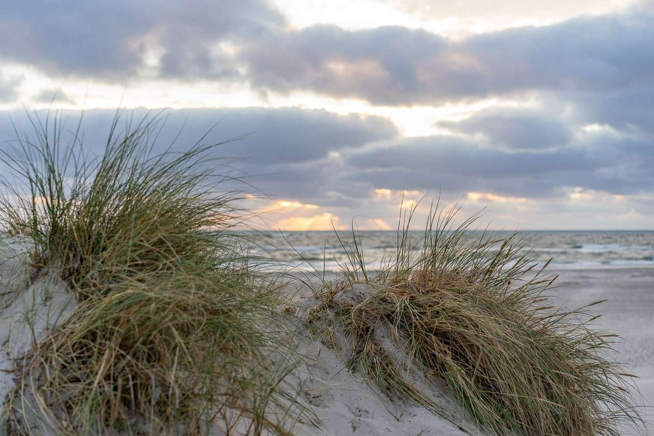 на пляжі Балтійського моря пазл онлайн