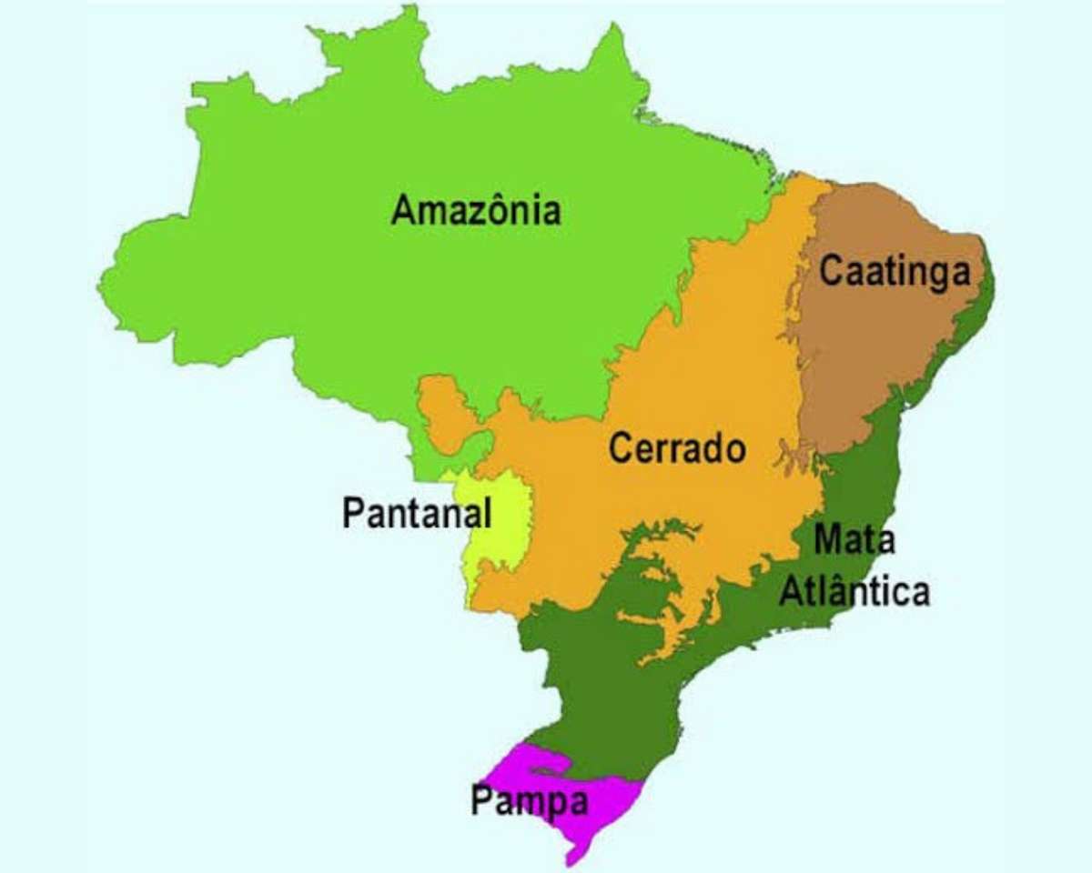biomas brasileños rompecabezas en línea