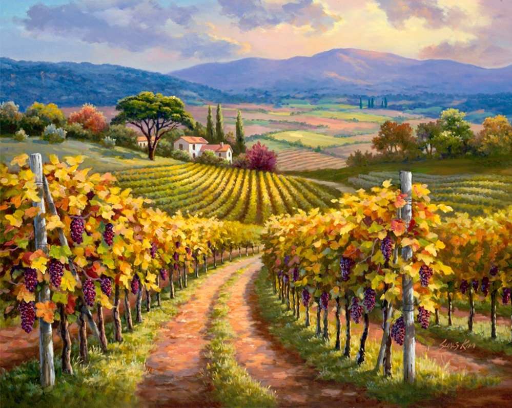 vignobles, domaines viticoles puzzle en ligne