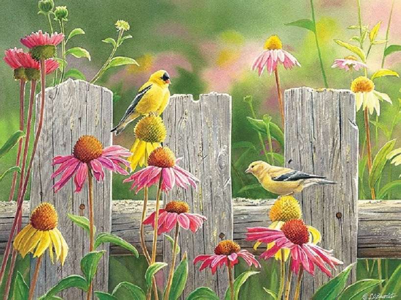 Vogels op het hek. online puzzel